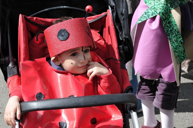 Evry Daily Photo - Carnaval Evry 2010 101 - large.jpg